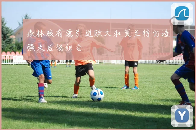 森林狼有意引进欧文和莫兰特打造强大后场组合